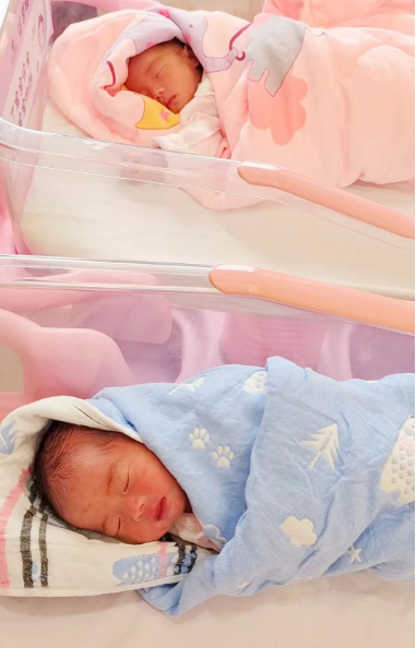 QQ截图20240620161320.png QQ截图20240620161320.png